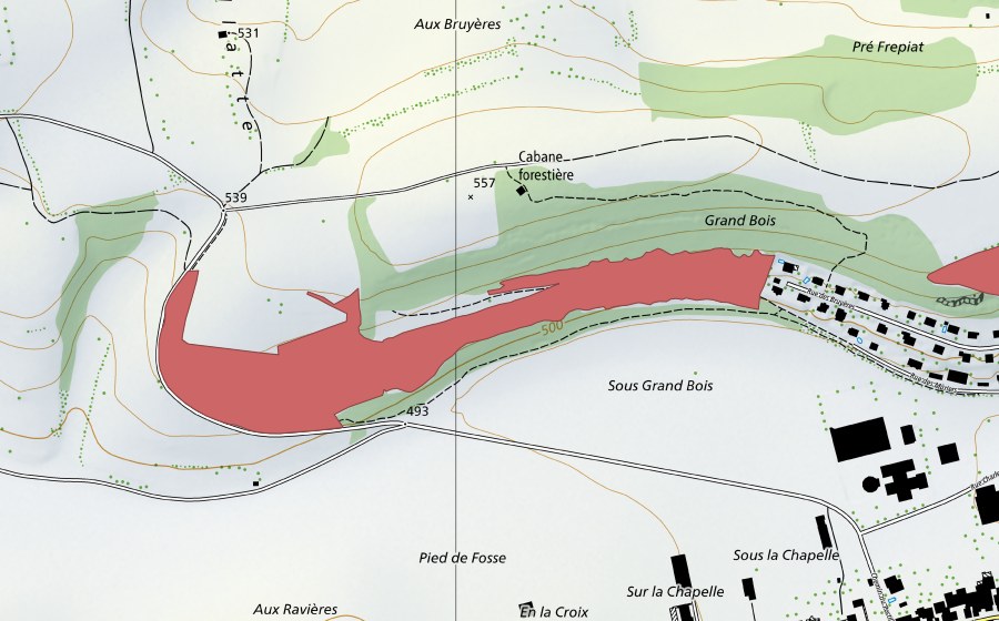 Landeskarte swisstopo mit dem Schutzperimeter von Grand Bois (Trockenwiese)