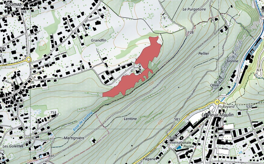 Landeskarte swisstopo mit dem Schutzperimeter von Grand'Fin (Trockenwiese)