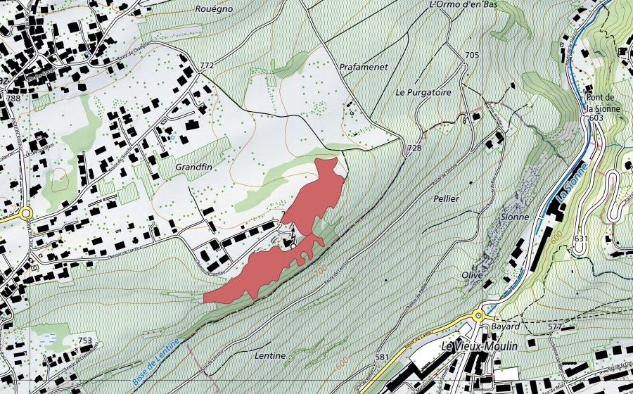 Landeskarte swisstopo mit dem Schutzperimeter von Grand'Fin (Trockenwiese)