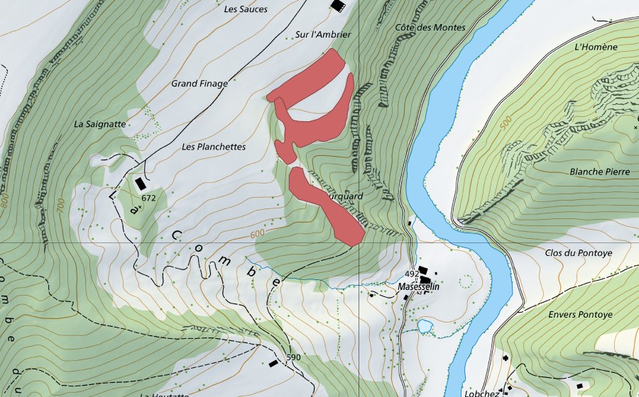 swisstopo national map showing the protected perimeter of Grand Finage (Dry meadow)