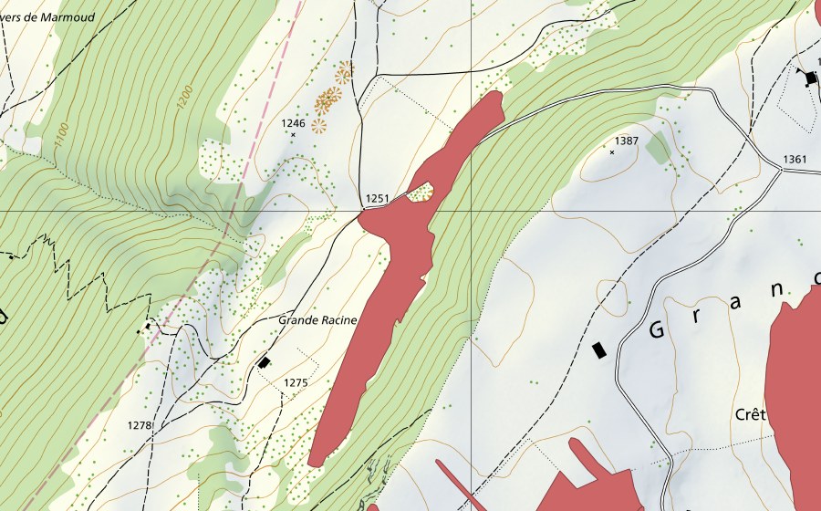 swisstopo national map showing the protected perimeter of Grande Racine (Dry meadow)