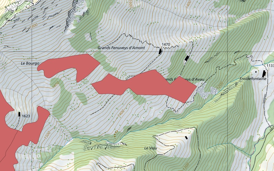 Landeskarte swisstopo mit dem Schutzperimeter von Grands Feniveis d'Amont (Trockenwiese)