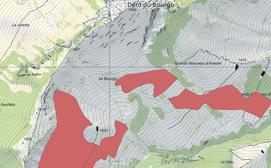 Carte nationale swisstopo avec le périmètre protégé de Grands Feniveis d'Amont (Prairie sèche)