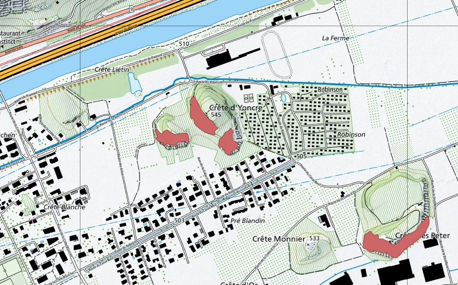 swisstopo national map showing the protected perimeter of Granges (Dry meadow)