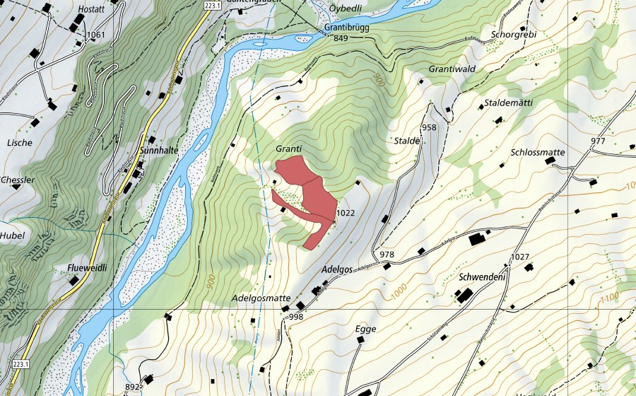swisstopo national map showing the protected perimeter of Granti (Dry meadow)