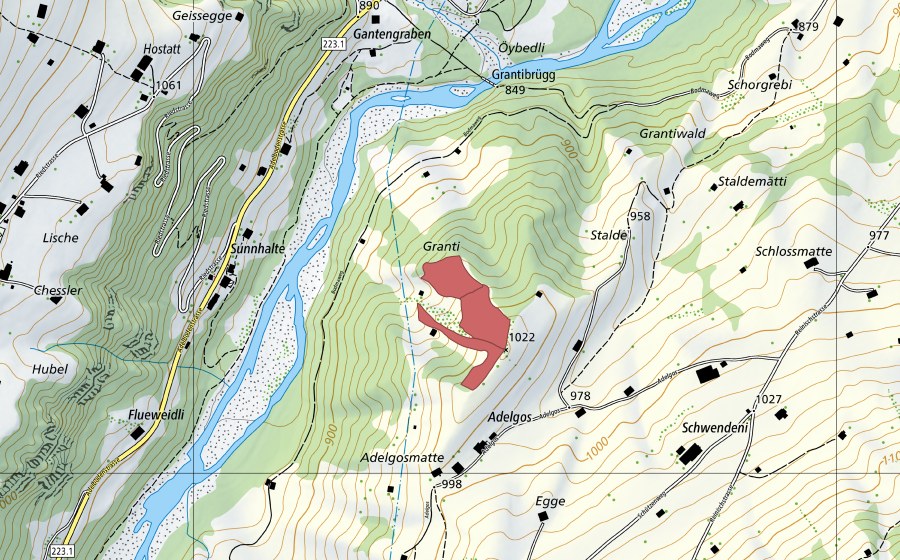 Landeskarte swisstopo mit dem Schutzperimeter von Granti (Trockenwiese)