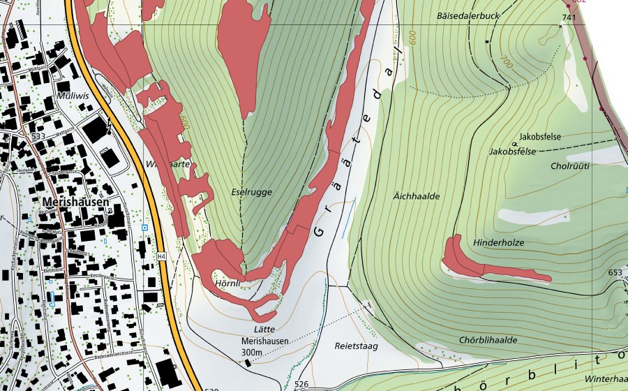 Carte nationale swisstopo avec le périmètre protégé de Grätental (Prairie sèche)