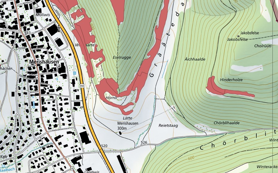 Landeskarte swisstopo mit dem Schutzperimeter von Grätental (Trockenwiese)