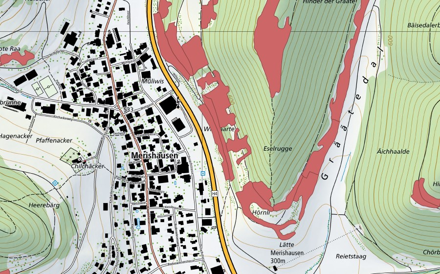 Landeskarte swisstopo mit dem Schutzperimeter von Grätental (Trockenwiese)