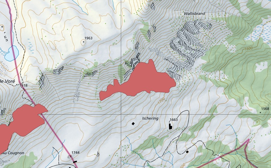 swisstopo national map showing the protected perimeter of Gridi (Dry meadow)