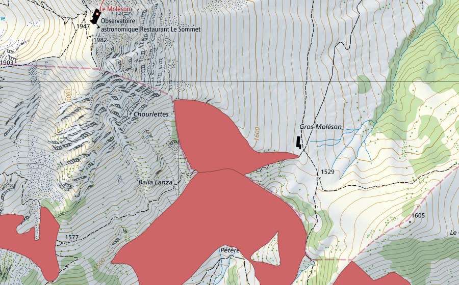 Landeskarte swisstopo mit dem Schutzperimeter von Gros Moléson (Trockenwiese)
