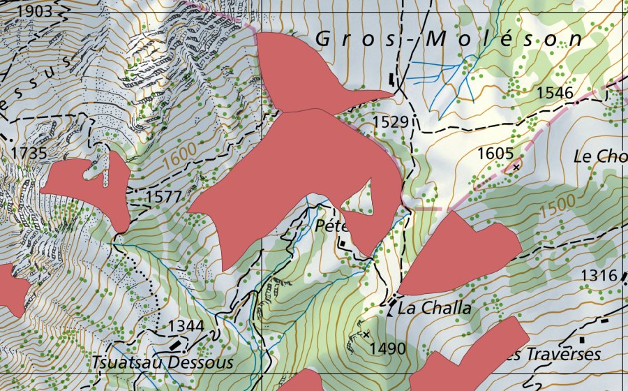Carte nationale swisstopo avec le périmètre protégé de Gros Moléson (Prairie sèche)