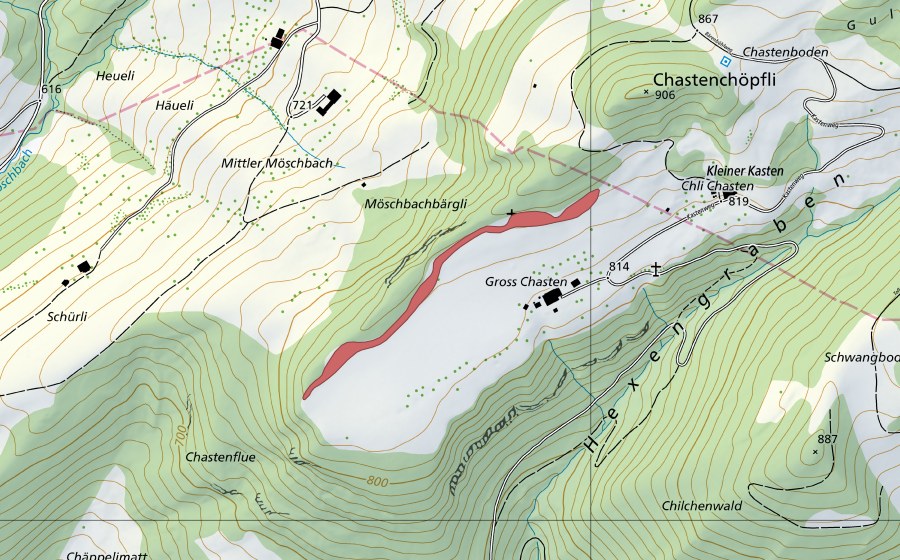Landeskarte swisstopo mit dem Schutzperimeter von Gross Chasten (Trockenwiese)
