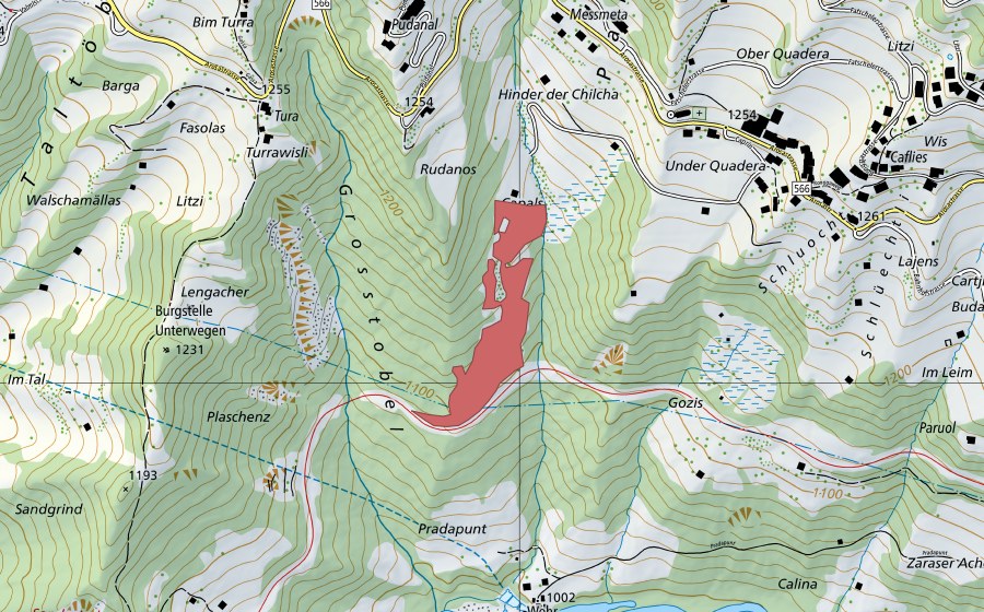 Landeskarte swisstopo mit dem Schutzperimeter von Gross Tobel (Trockenwiese)