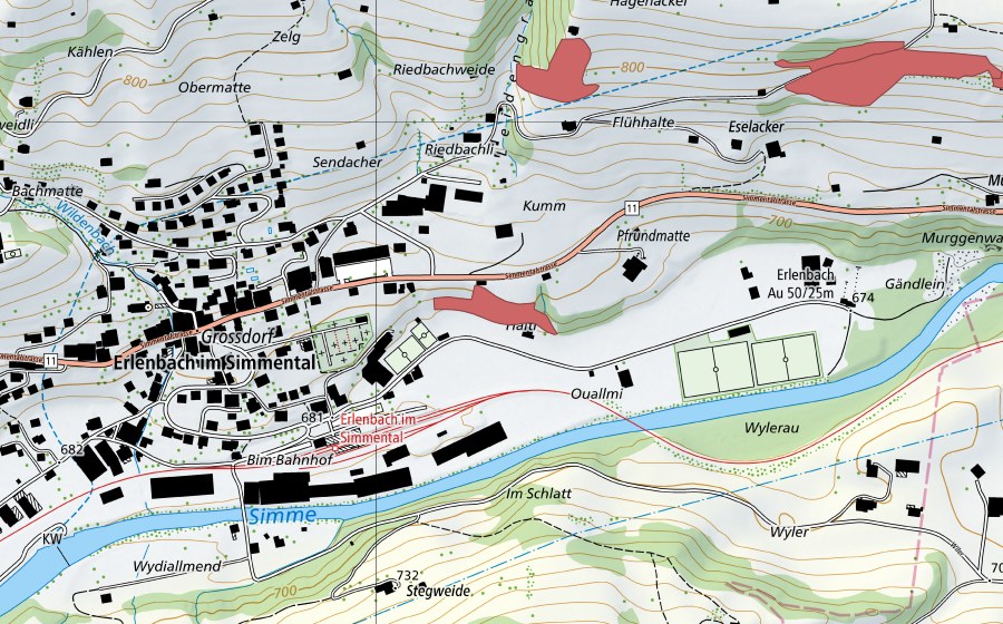 swisstopo national map showing the protected perimeter of Grossdorf (Dry meadow)