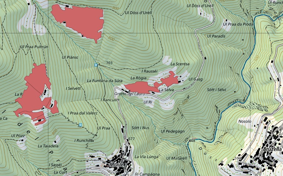 Carte nationale swisstopo avec le périmètre protégé de Grotto del Lauro (Prairie sèche)
