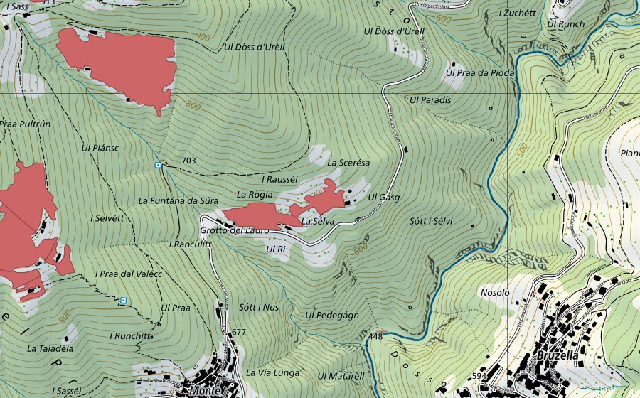 Carte nationale swisstopo avec le périmètre protégé de Grotto del Lauro (Prairie sèche)