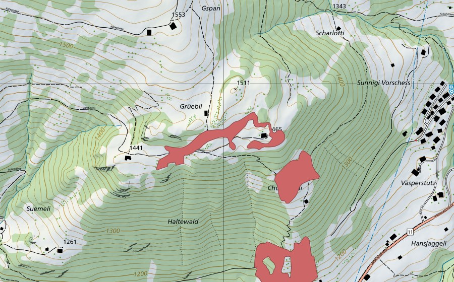 Landeskarte swisstopo mit dem Schutzperimeter von Grüebli (Trockenwiese)