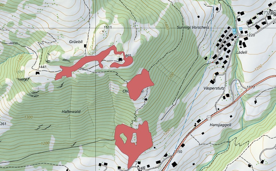 Carte nationale swisstopo avec le périmètre protégé de Grüebli (Prairie sèche)