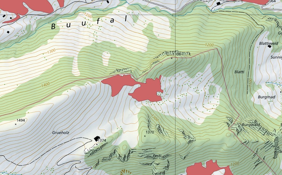 swisstopo national map showing the protected perimeter of Grueholz (Dry meadow)