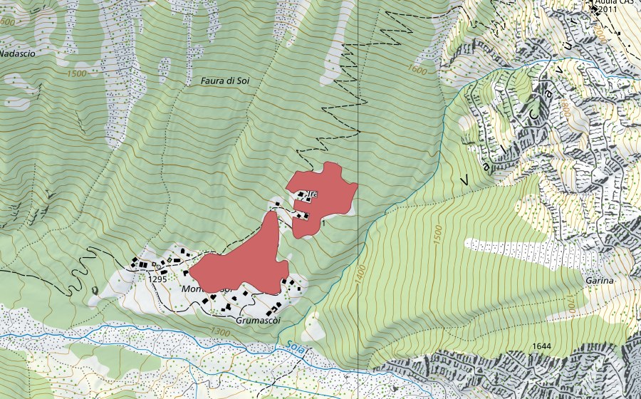 swisstopo national map showing the protected perimeter of Grumascòi (Dry meadow)