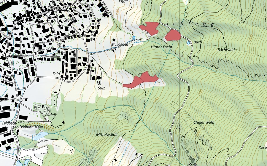 Landeskarte swisstopo mit dem Schutzperimeter von Grund (Trockenwiese)