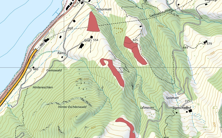 swisstopo national map showing the protected perimeter of Grüt (Dry meadow)