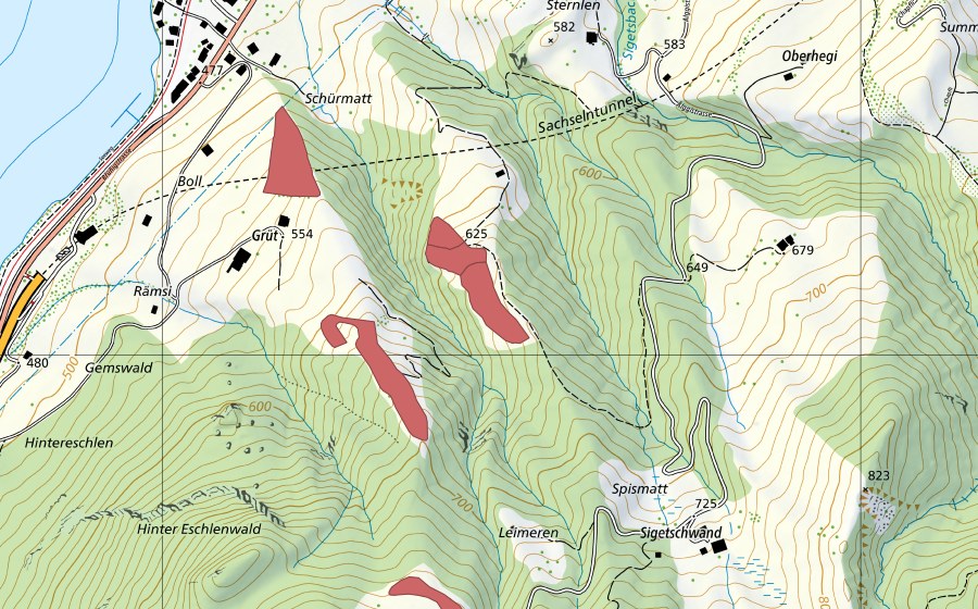 Carte nationale swisstopo avec le périmètre protégé de Grüt (Prairie sèche)