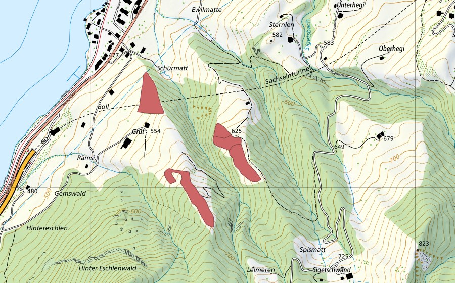 Landeskarte swisstopo mit dem Schutzperimeter von Grüt (Trockenwiese)