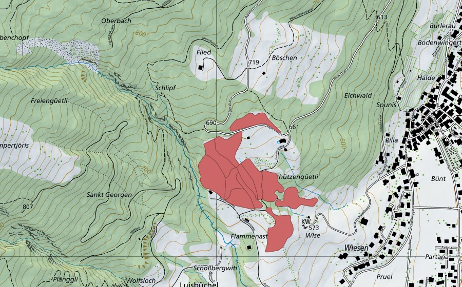 swisstopo national map showing the protected perimeter of Grüt (Dry meadow)