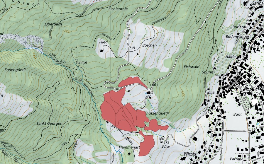 swisstopo national map showing the protected perimeter of Grüt (Dry meadow)