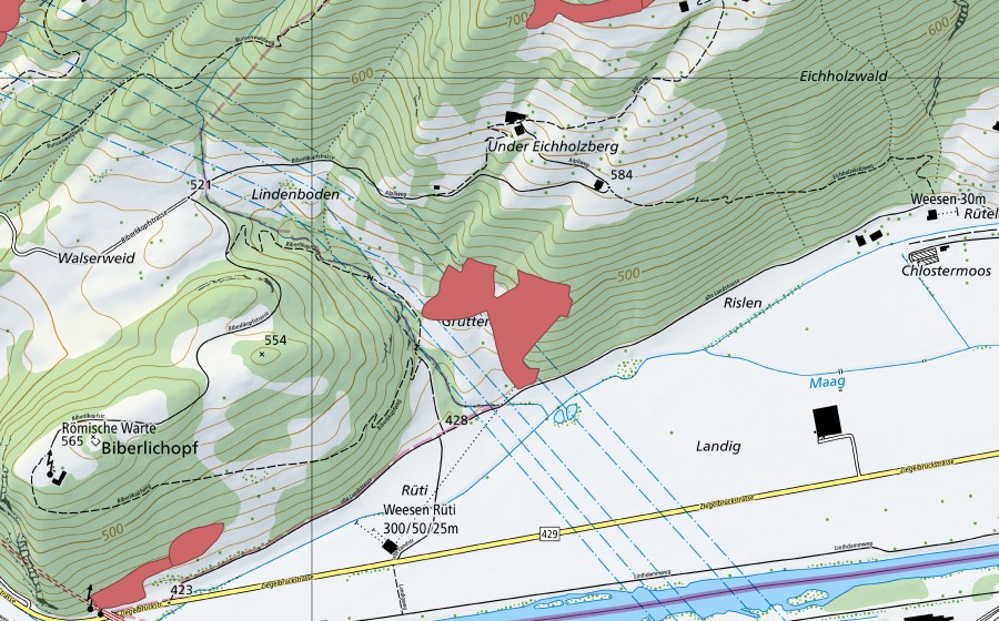 Landeskarte swisstopo mit dem Schutzperimeter von Grütt (Trockenwiese)