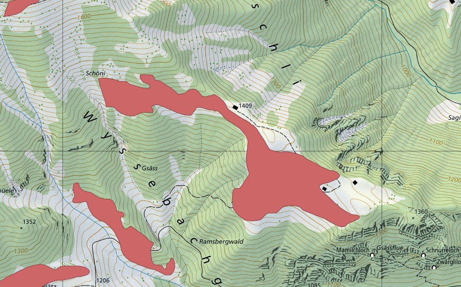 swisstopo national map showing the protected perimeter of Gsäss (Dry meadow)