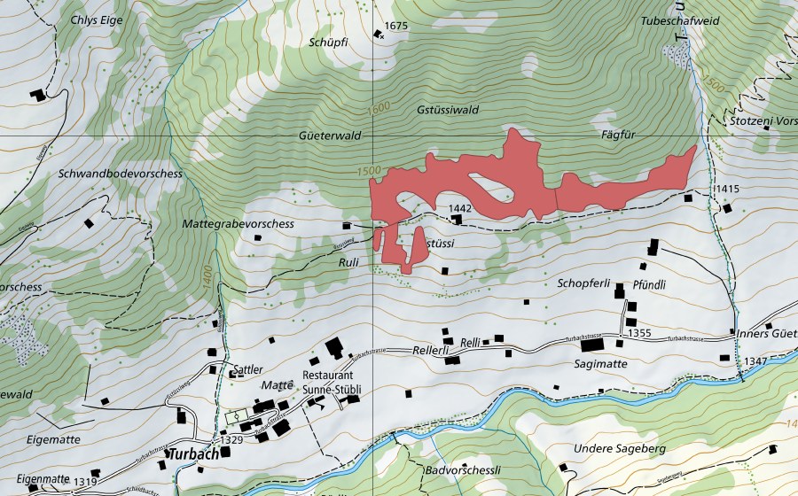 Landeskarte swisstopo mit dem Schutzperimeter von Gstüssi (Trockenwiese)