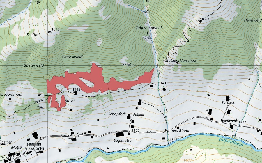 Landeskarte swisstopo mit dem Schutzperimeter von Gstüssi (Trockenwiese)