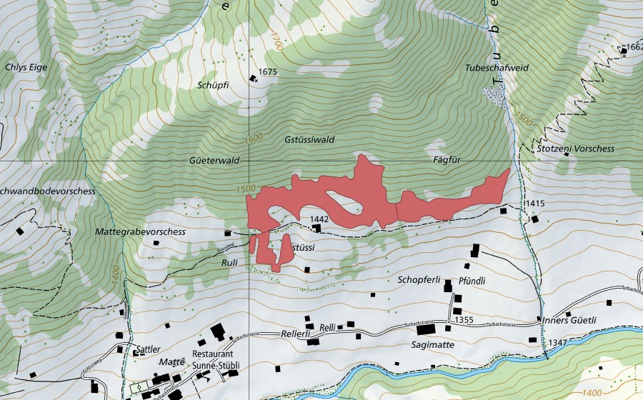Carte nationale swisstopo avec le périmètre protégé de Gstüssi (Prairie sèche)