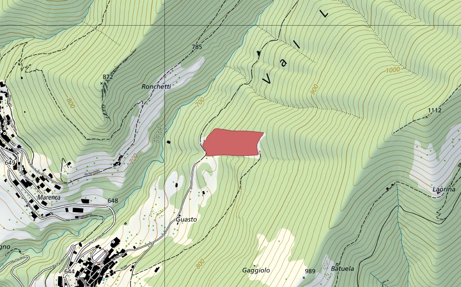 swisstopo national map showing the protected perimeter of Guasto (Dry meadow)