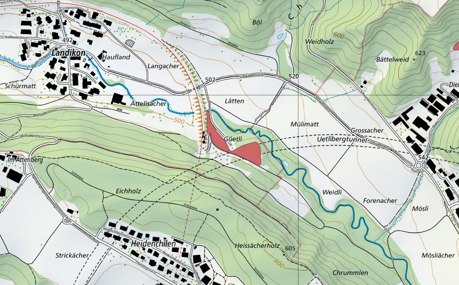 Landeskarte swisstopo mit dem Schutzperimeter von Güetli (Trockenwiese)