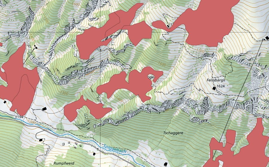 swisstopo national map showing the protected perimeter of Gugger (Dry meadow)