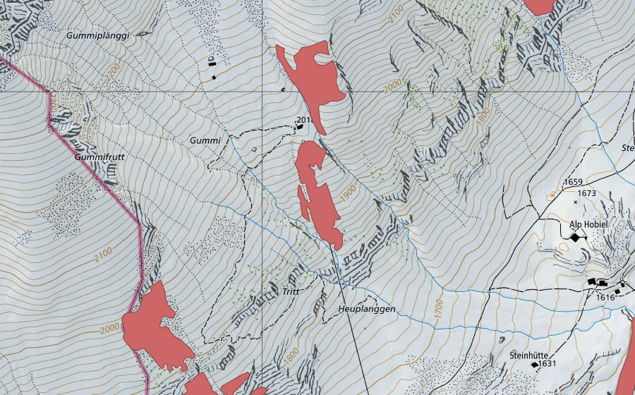 swisstopo national map showing the protected perimeter of Gumi (Dry meadow)