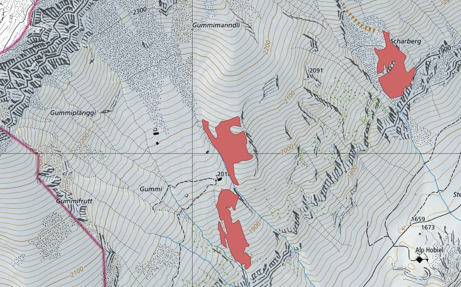Landeskarte swisstopo mit dem Schutzperimeter von Gumi (Trockenwiese)
