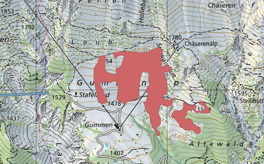 Carte nationale swisstopo avec le périmètre protégé de Gummenalp (Prairie sèche)