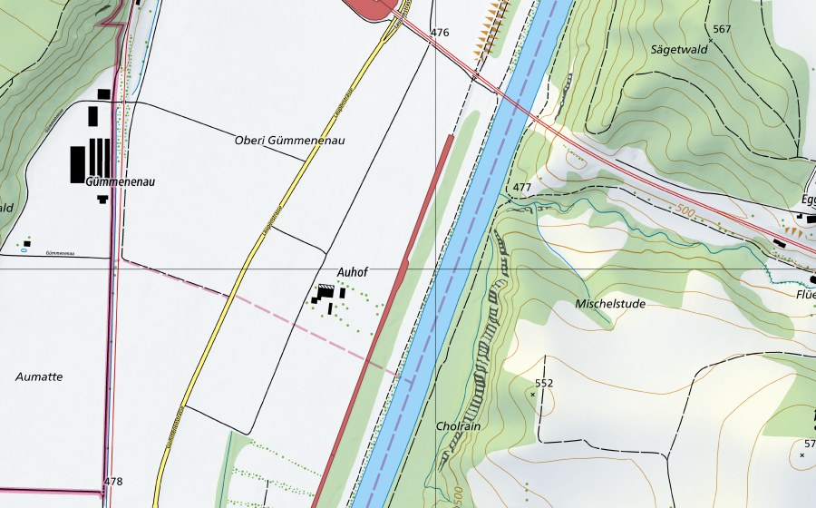 swisstopo national map showing the protected perimeter of Gümmenenau (Dry meadow)