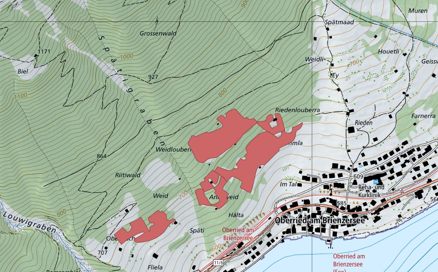 swisstopo national map showing the protected perimeter of Gummla (Dry meadow)