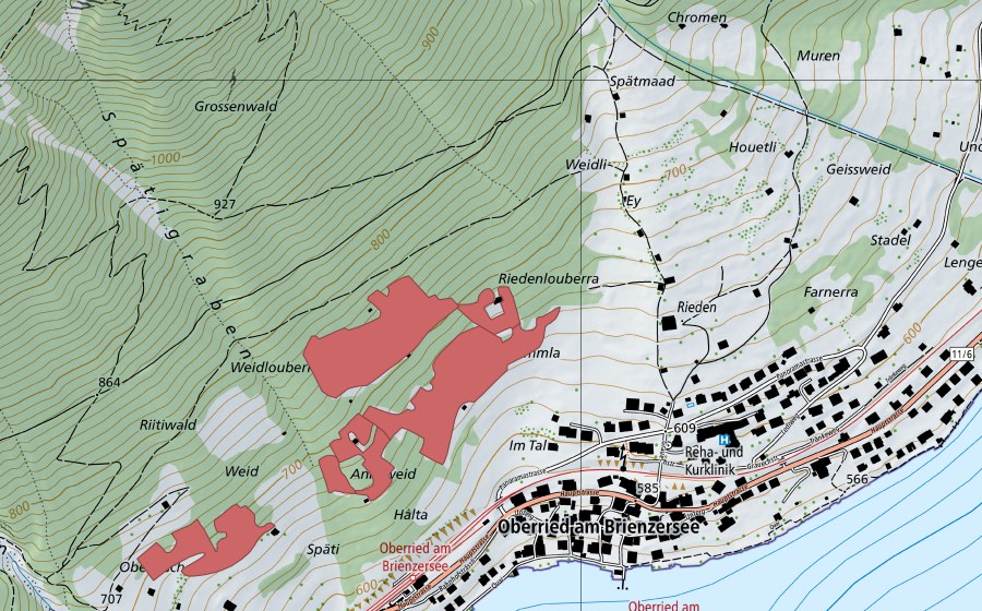 Landeskarte swisstopo mit dem Schutzperimeter von Gummla (Trockenwiese)
