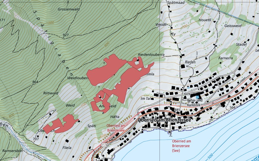 Landeskarte swisstopo mit dem Schutzperimeter von Gummla (Trockenwiese)