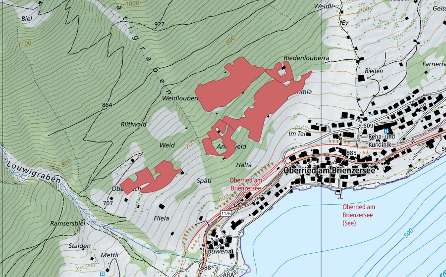 Landeskarte swisstopo mit dem Schutzperimeter von Gummla (Trockenwiese)