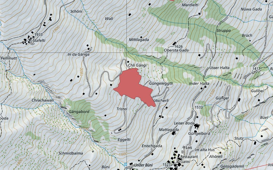Landeskarte swisstopo mit dem Schutzperimeter von Güngel (Trockenwiese)