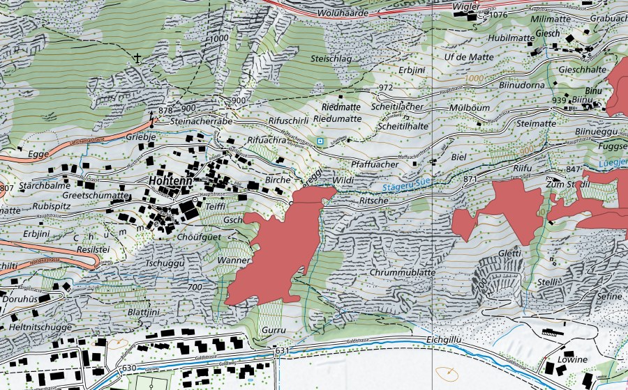 swisstopo national map showing the protected perimeter of Gurru (Dry meadow)