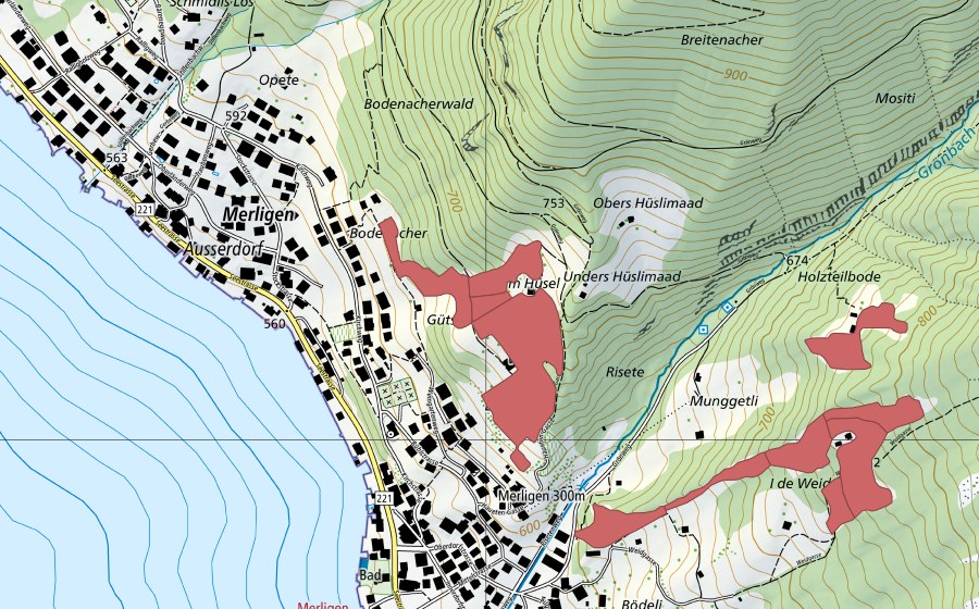 swisstopo national map showing the protected perimeter of Gütsch (Dry meadow)